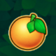 fruits safari orange symbol icon