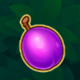 fruits safari plum symbol icon