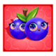 fruity megaways blueberries symbol icon