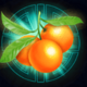 fu dao le oranges symbol icon