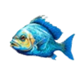 funta gaming sea story fish 1 symbol icon