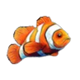 funta gaming sea story nemo 1 symbol icon