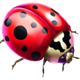 gameart lady luck ladybug symbol icon