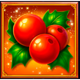 gift mania holly berries symbol icon
