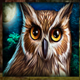 golden acorn owl symbol icon