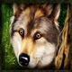 golden acorn wolf symbol icon