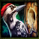 golden acorn woodpecker symbol icon