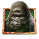 gorilla kingdom 1 icon