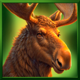grand buffalo hold and win elk symbol icon