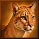 grand buffalo hold and win lion symbol icon