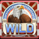 happy 4th of july wild symbol icon