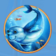 hawaiian dreams seal symbol icon