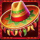 hot chilli party hat symbol icon