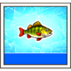 ice bass fish2 symbol icon