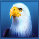 immortal ways buffalo eagle symbol icon