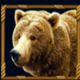 intervision gaming american bear symbol icon