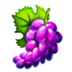 its a joker grapes symbol icon