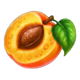 j mania triple jam cut apricot symbol icon
