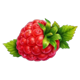 j mania triple jam red raspberry symbol icon