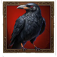 jack o wild crow symbol icon