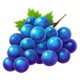 jacks wild box blue grapes symbol icon