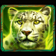 jaguar princess cheetah symbol icon
