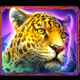 jaguar princess leopard symbol icon