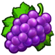 juicy fruit coins hold and win grape symbol icon