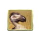 jurassic kingdom dinosaur 6 symbol icon