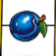 kings timer plum symbol icon