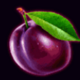 lightning fruits quad plum symbol icon