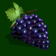 lucky and wild grapes symbol icon