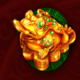 lucky coins frog symbol icon