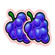 lucky hot coins grapes symbol icon