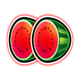 lucky hot coins watermelon symbol icon