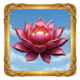 lucky koins pink lotus symbol icon