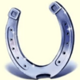 lucky ladys charm deluxe horseshoe symbol icon