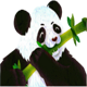 lucky panda panda symbol icon