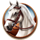 lucky sheriff hold and win horse symbol icon