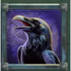 lunar howl raven symbol icon