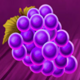 magic lady grape symbol icon