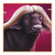 majestic megaways bull symbol icon