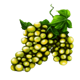 medusa grapes symbol icon