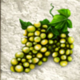 medusa hq grapes symbol icon