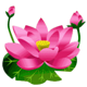 mega fortune god flower symbol icon