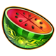 mighty crown legacy of mars tech watermelon symbol icon