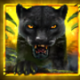mighty wild panther halloween edition wild rampage symbol icon