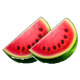 multi wilds watermelon slices symbol icon
