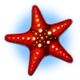 ocean magic starfish2 symbol icon