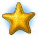 ocean magic starfish symbol icon